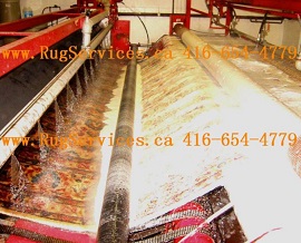 area rug/carpet cleaning in Toronto: rinsing 1
